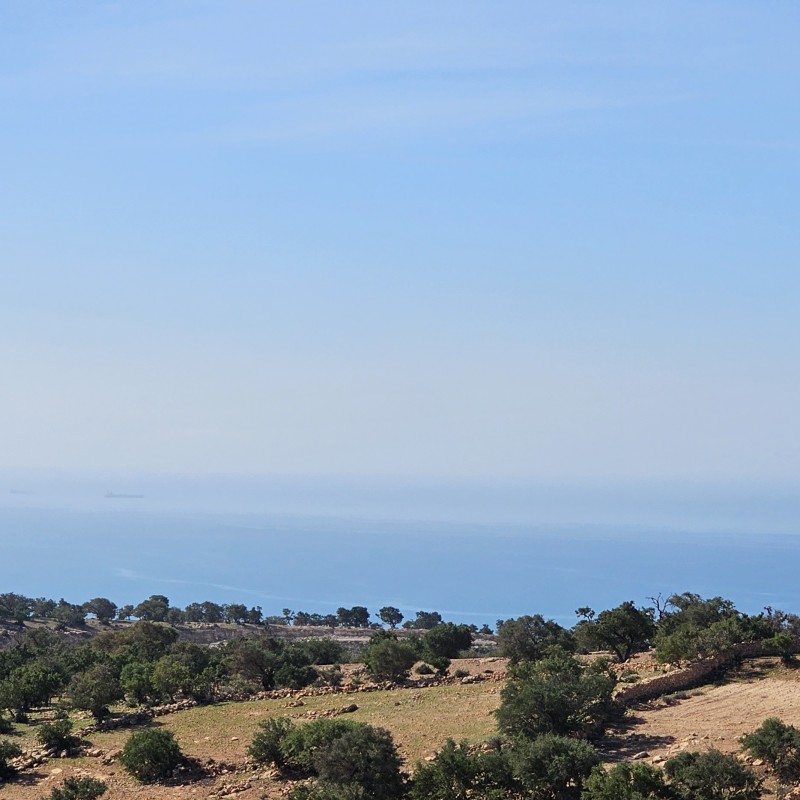 VENTE LE CLOS DES ARGANIERS 